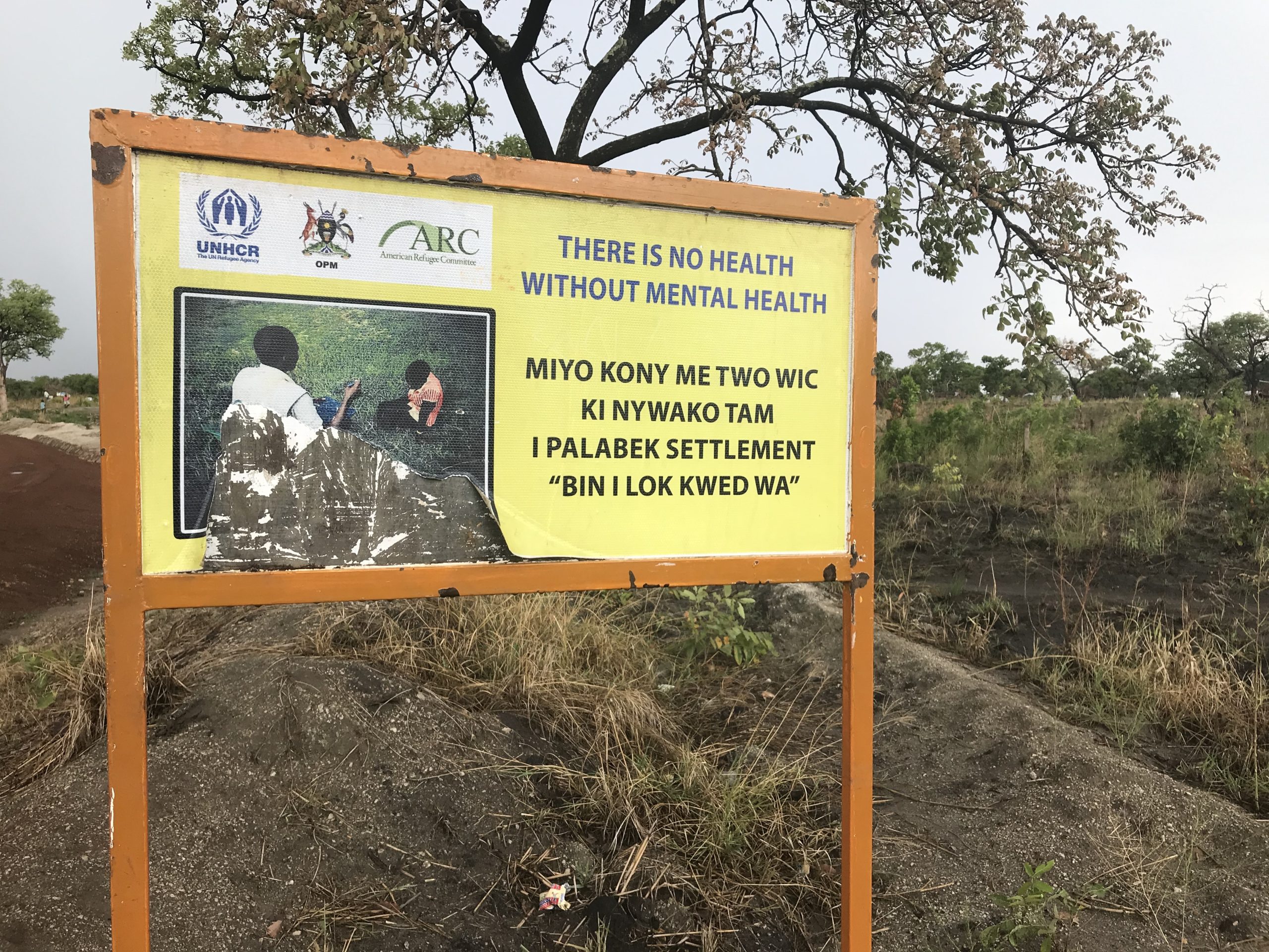 A worn sign in front a tree reads 'there is no health without mental health'.