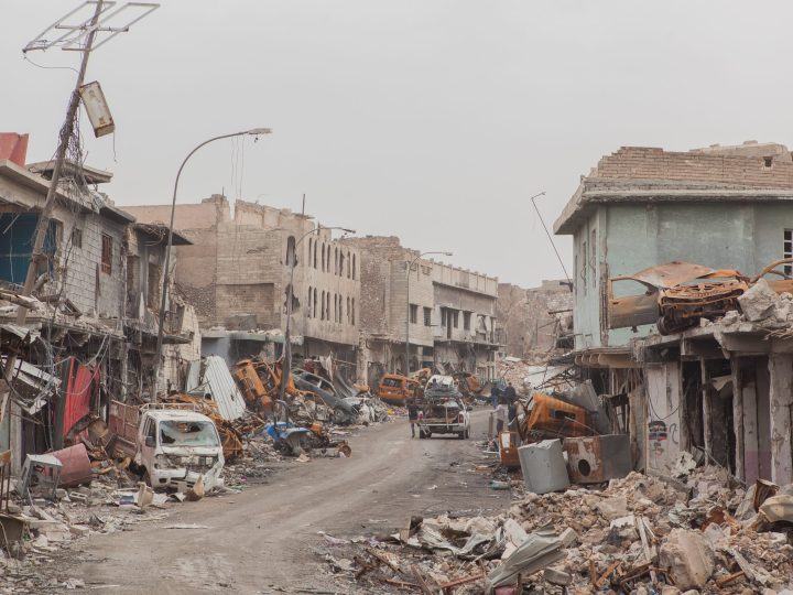 The Impact of Trauma Survey: Breaking Cycles of Trauma and Violence