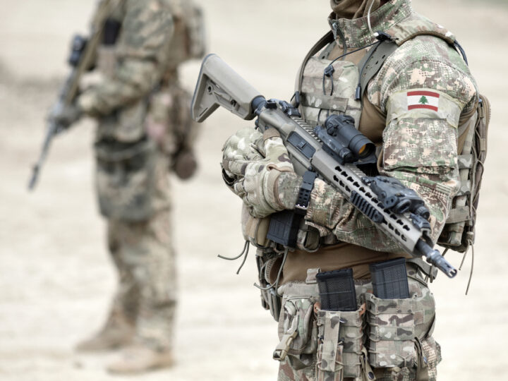 Uncovering the Motivations of Jihadists in a Hostage Crisis