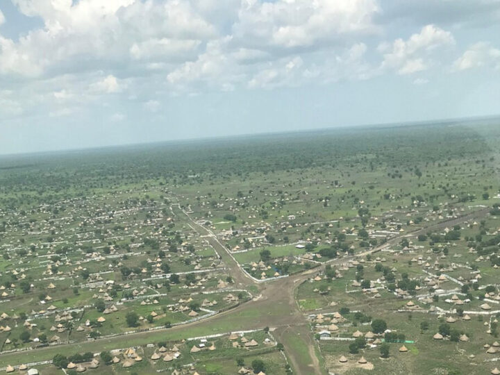 The Role of the Diaspora in the Conflict in Jonglei State: The Case of Greater Akobo